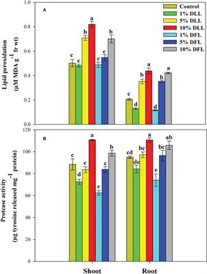 Differential activity of wheat antioxidant defense system and alterations in the accumulation of osmolytes at different developmental stages as influenced by marigold (Tagetes erecta L.) leachates